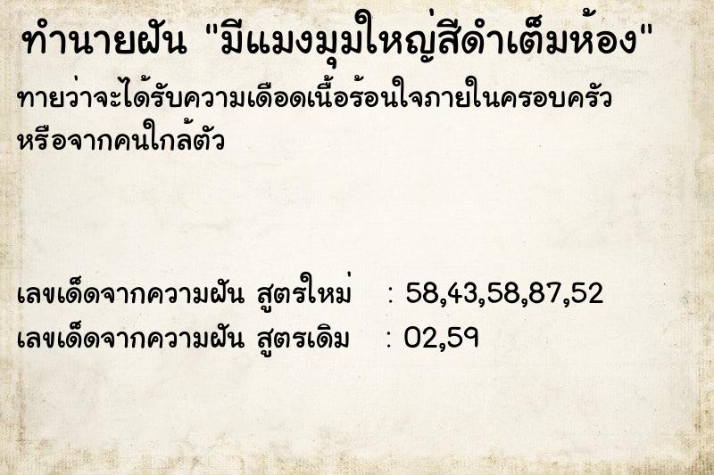 ทำนายฝันทำนายฝันมีแมงมุมใหญ่สีดำเต็มห้อง