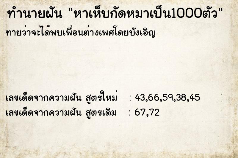 ทำนายฝันทำนายฝันหาเห็บกัดหมาเป็น1000ตัว
