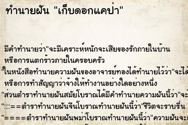 ทำนายฝัน เก็บดอกแคป่า ทำนายฝัน เก็บดอกแคป่า
