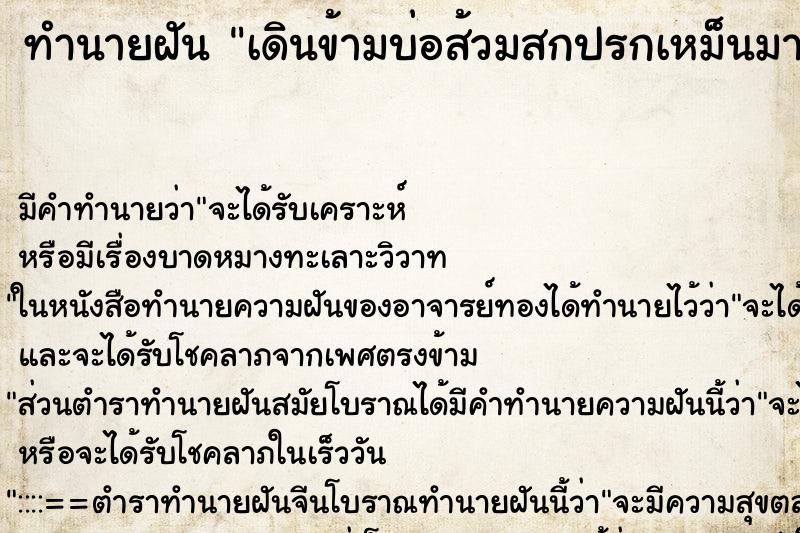 ทำนายฝันทำนายฝันเดินข้ามบ่อส้วมสกปรกเหม็นมาก