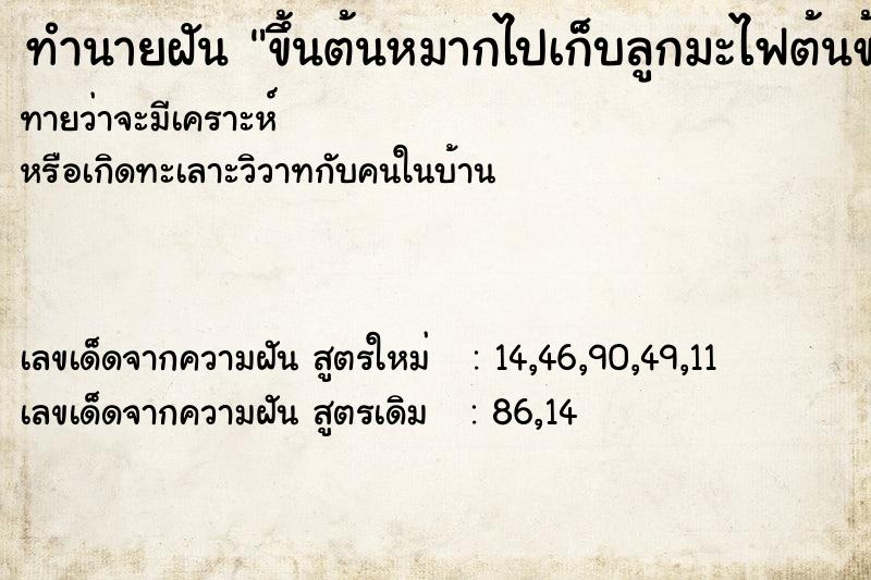 ทำนายฝันทำนายฝันขึ้นต้นหมากไปเก็บลูกมะไฟต้นข้าง