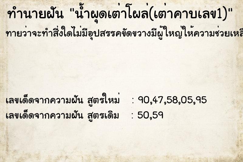 ทำนายฝันทำนายฝันน้ำผุดเต่าโผล่(เต่าคาบเลข1)