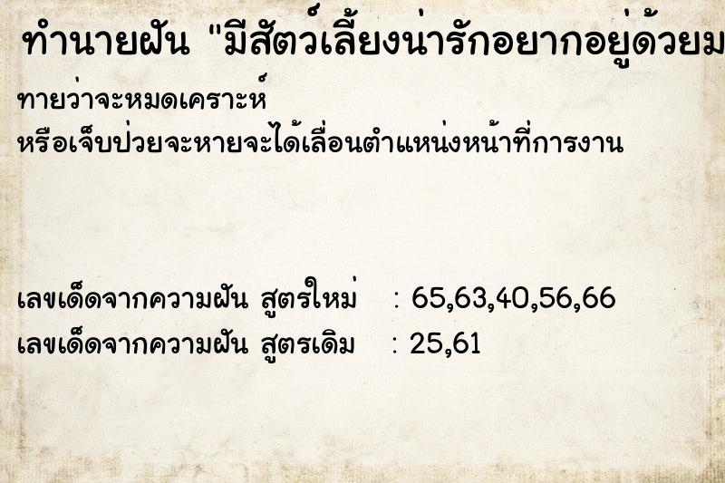 ทำนายฝันทำนายฝันมีสัตว์เลี้ยงน่ารักอยากอยู่ด้วยมากมาย