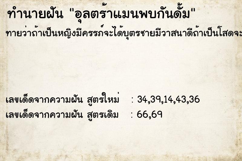 ทำนายฝัน อุลตร้าแมนพบกันดั้ม ทำนายฝัน อุลตร้าแมนพบกันดั้ม