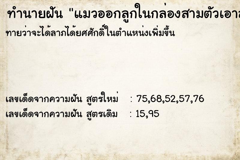 ทำนายฝันทำนายฝันแมวออกลูกในกล่องสามตัวเอาส่งเจ้าของ