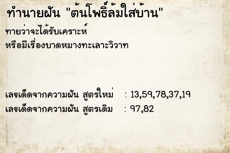 ทำนายฝัน ต้นโพธิ์ล้มใส่บ้าน ทำนายฝัน ต้นโพธิ์ล้มใส่บ้าน
