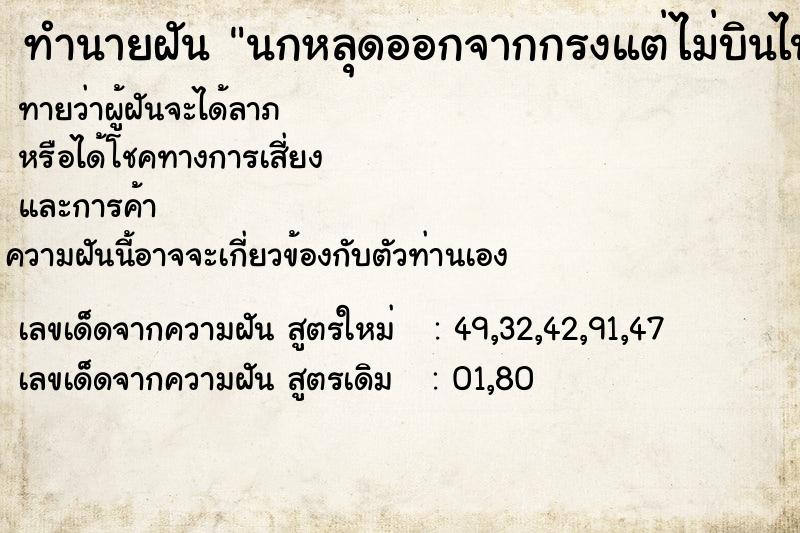 ทำนายฝันนกหลุดออกจากกรงแต่ไม่บินไป ทำนายฝันทำนายฝันนกหลุดออกจากกรงแต่ไม่บินไป