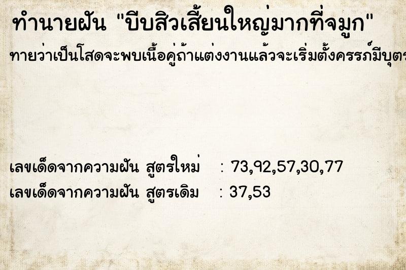 ทำนายฝันทำนายฝันบีบสิวเสี้ยนใหญ่มากที่จมูก