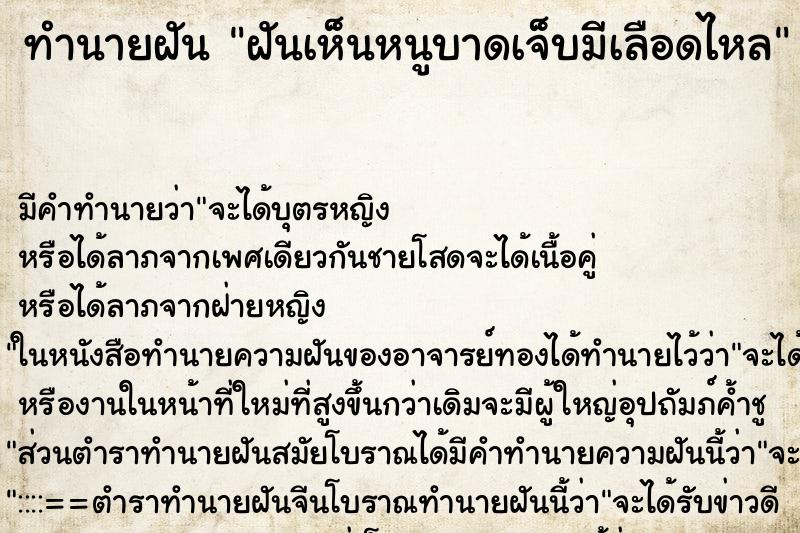 ทำนายฝัน ฝันเห็นหนูบาดเจ็บมีเลือดไหล ทำนายฝัน ฝันเห็นหนูบาดเจ็บมีเลือดไหล