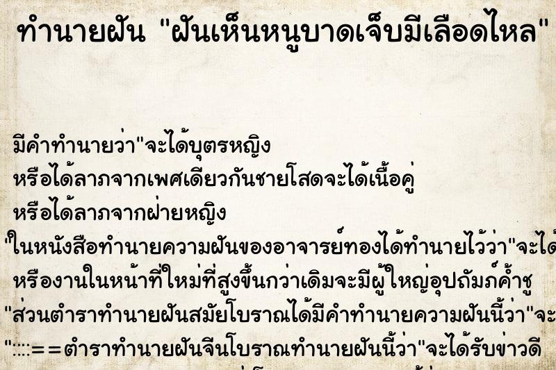 ทำนายฝัน ฝันเห็นหนูบาดเจ็บมีเลือดไหล ตำราโบราณ แม่นที่สุดในโลก