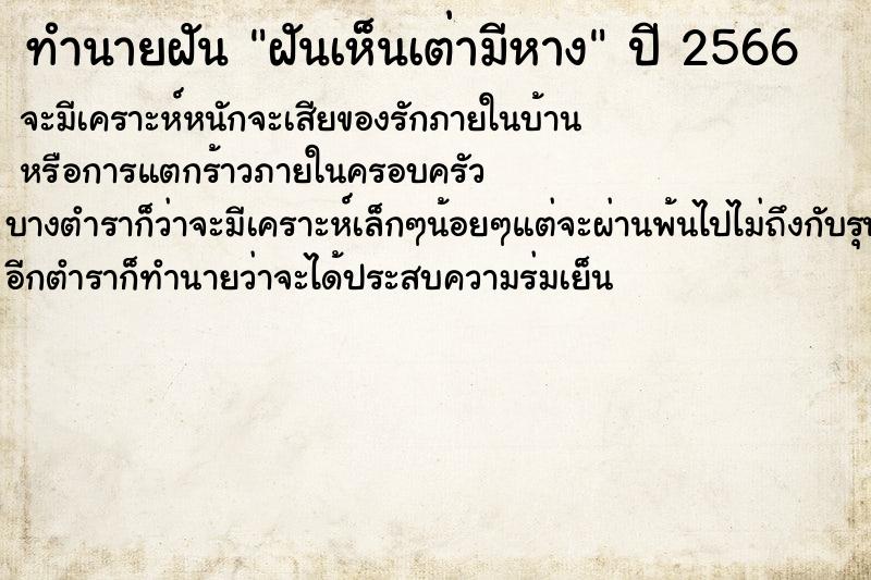 ทำนายฝันฝันเห็นเต่ามีหาง ทำนายฝันทำนายฝันฝันเห็นเต่ามีหาง