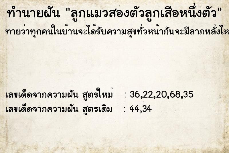 ทำนายฝันลูกแมวสองตัวลูกเสือหนึ่งตัว ทำนายฝันทำนายฝันลูกแมวสองตัวลูกเสือหนึ่งตัว