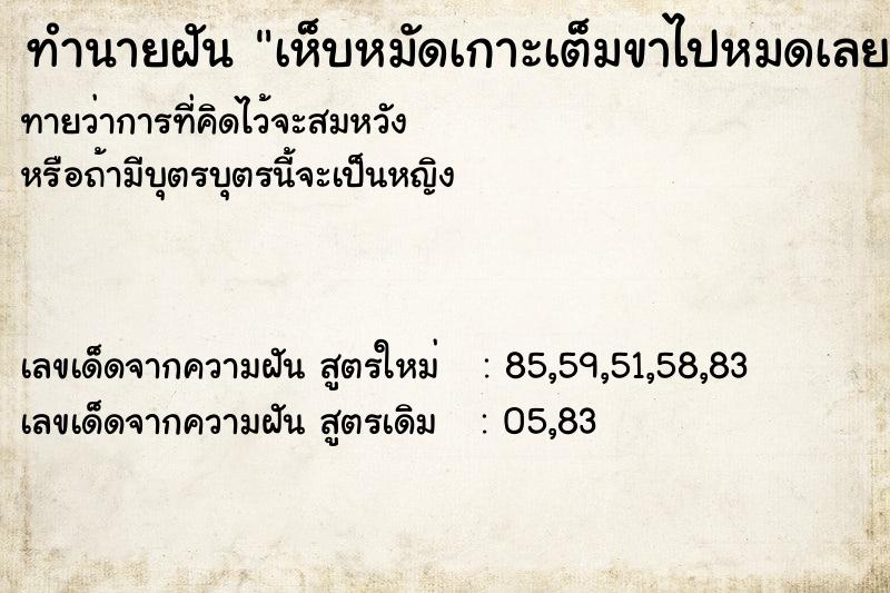 ทำนายฝันทำนายฝันเห็บหมัดเกาะเต็มขาไปหมดเลย