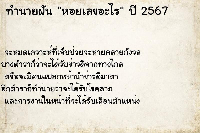 ทำนายฝันหอยเลขอะไร ทำนายฝันทำนายฝันหอยเลขอะไร