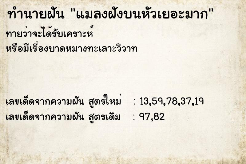 ทำนายฝันทำนายฝันแมลงฝังบนหัวเยอะมาก