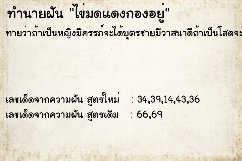 ทำนายฝันไข่มดแดงกองอยู่ ทำนายฝันทำนายฝันไข่มดแดงกองอยู่