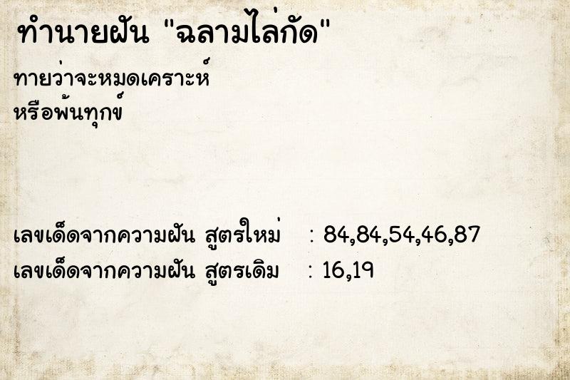 ทำนายฝันฉลามไล่กัด ทำนายฝันทำนายฝันฉลามไล่กัด