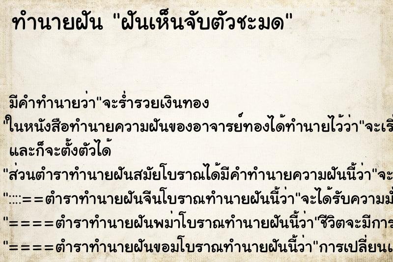 ทำนายฝัน ฝันเห็นจับตัวชะมด ตำราโบราณ แม่นที่สุดในโลก