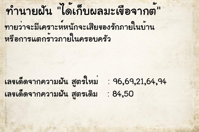 ทำนายฝันได้เก็บผลมะเขือจากต้ ทำนายฝันทำนายฝันได้เก็บผลมะเขือจากต้