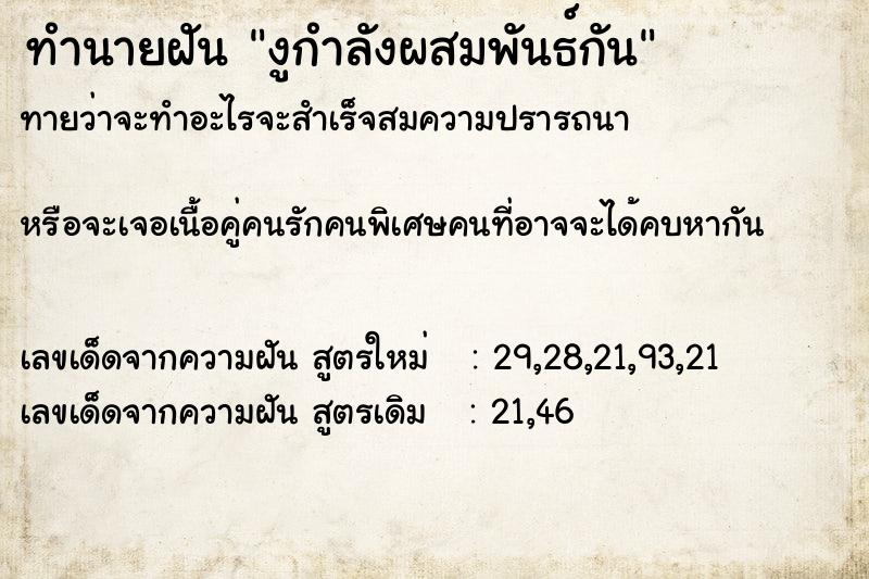 ทำนายฝันงูกำลังผสมพันธ์กัน ทำนายฝันทำนายฝันงูกำลังผสมพันธ์กัน