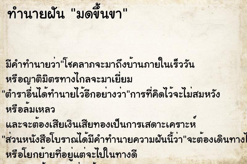 ทำนายฝัน มดขึ้นขา ทำนายฝัน มดขึ้นขา