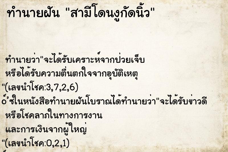 ทำนายฝัน สามีโดนงูกัดนิ้ว ทำนายฝัน สามีโดนงูกัดนิ้ว