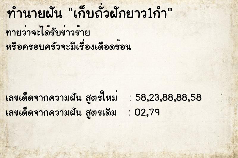 ทำนายฝันเก็บถั่วฝักยาว1กำ ทำนายฝันทำนายฝันเก็บถั่วฝักยาว1กำ