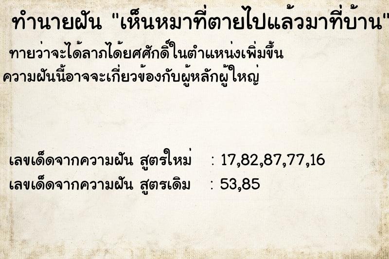 ทำนายฝันเห็นหมาที่ตายไปแล้วมาที่บ้าน ทำนายฝันทำนายฝันเห็นหมาที่ตายไปแล้วมาที่บ้าน