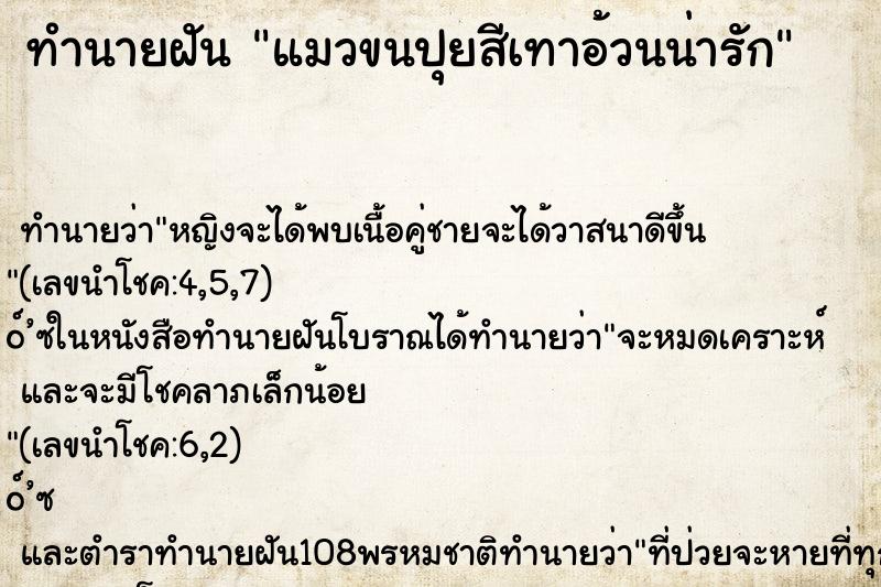 ทำนายฝัน แมวขนปุยสีเทาอ้วนน่ารัก