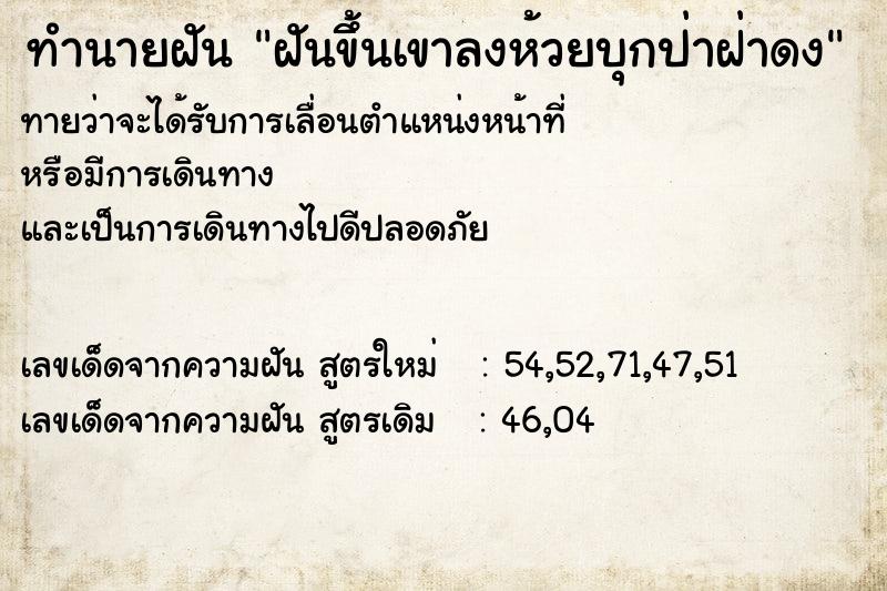 ทำนายฝัน ฝันขึ้นเขาลงห้วยบุกป่าฝ่าดง ทำนายฝัน ฝันขึ้นเขาลงห้วยบุกป่าฝ่าดง