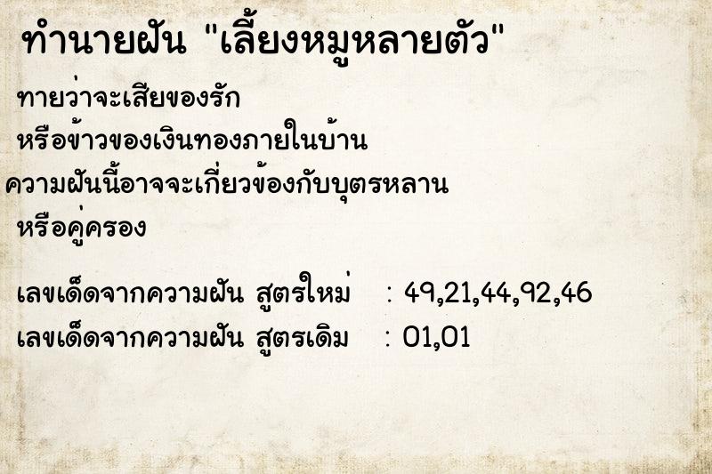 ทำนายฝันเลี้ยงหมูหลายตัว ทำนายฝันทำนายฝันเลี้ยงหมูหลายตัว