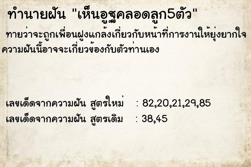 ทำนายฝันเห็นอูฐคลอดลูก5ตัว ทำนายฝันทำนายฝันเห็นอูฐคลอดลูก5ตัว