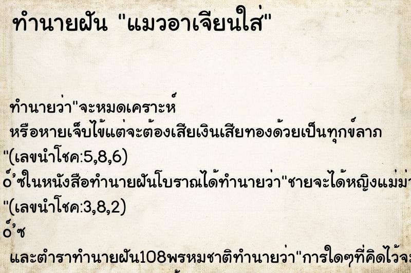 ทำนายฝัน แมวอาเจียนใส่ ทำนายฝัน แมวอาเจียนใส่