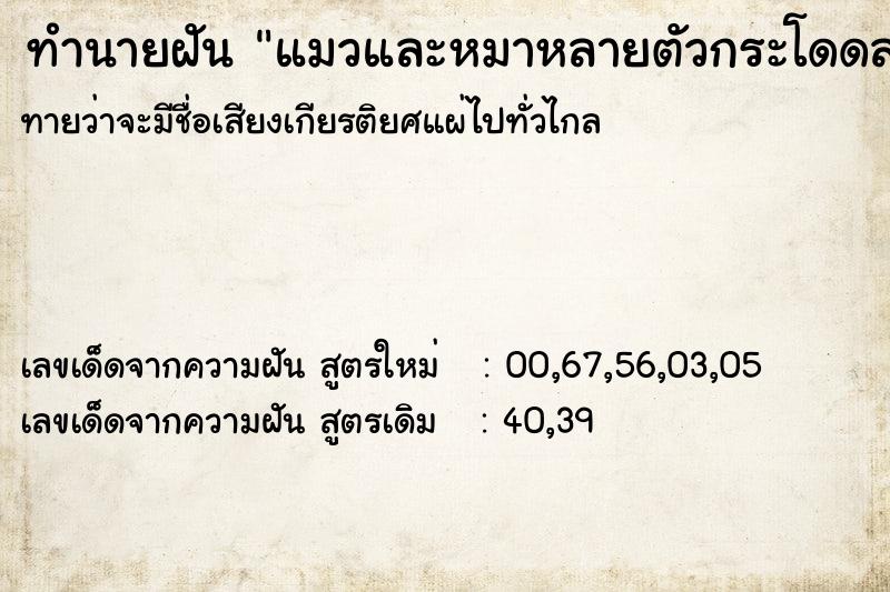 ทำนายฝันแมวและหมาหลายตัวกระโดดลงน้ำขี้โคลน ทำนายฝันทำนายฝันแมวและหมาหลายตัวกระโดดลงน้ำขี้โคลน