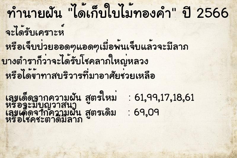 ทำนายฝัน ได้เก็บใบไม้ทองคำ
