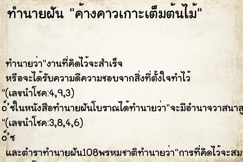 ทำนายฝันค้างคาวเกาะเต็มต้นไม้ ทำนายฝันทำนายฝันค้างคาวเกาะเต็มต้นไม้