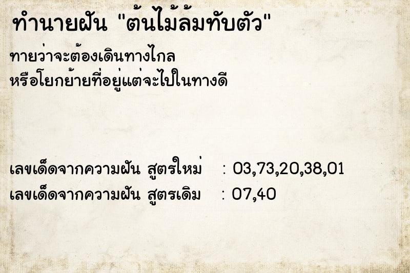 ทำนายฝันทำนายฝันต้นไม้ล้มทับตัว