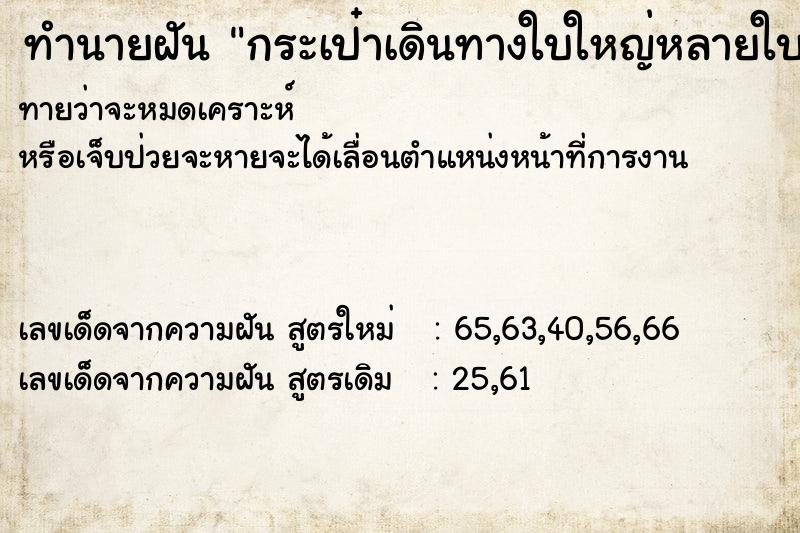 ทำนายฝันกระเป๋าเดินทางใบใหญ่หลายใบ ทำนายฝันทำนายฝันกระเป๋าเดินทางใบใหญ่หลายใบ