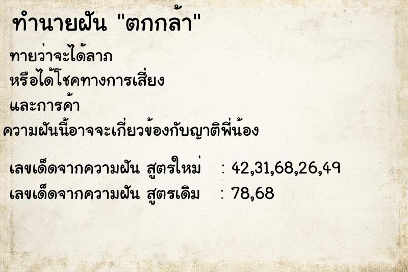 ทำนายฝันทำนายฝันตกกล้า