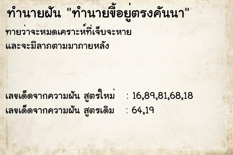 ทำนายฝันทำนายฝันทำนายขี้อยู่ตรงคันนา