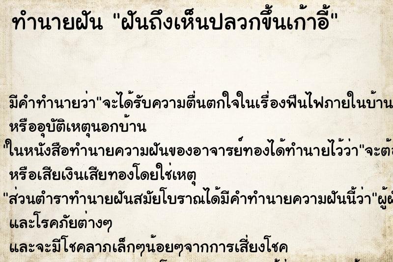 ทำนายฝัน ฝันถึงเห็นปลวกขึ้นเก้าอี้ ทำนายฝัน ฝันถึงเห็นปลวกขึ้นเก้าอี้