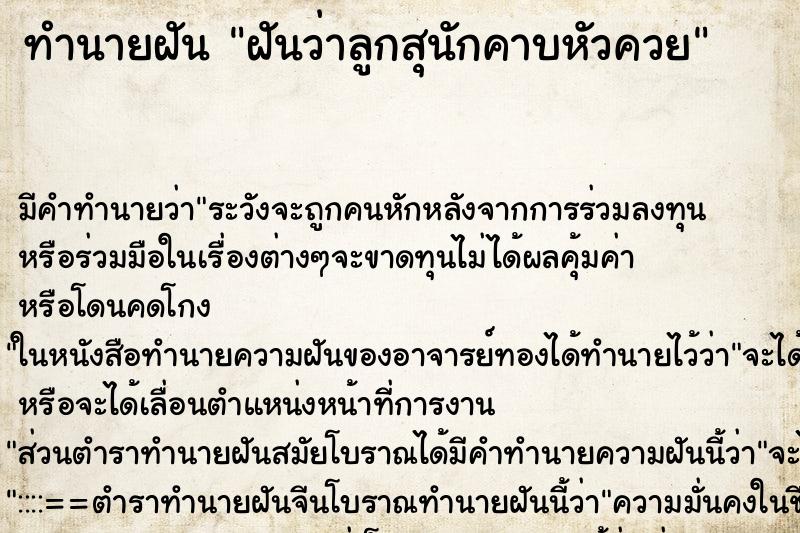 ทำนายฝันฝันว่าลูกสุนักคาบหัวควย ทำนายฝันทำนายฝันฝันว่าลูกสุนักคาบหัวควย