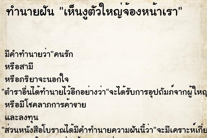 ทำนายฝันเห็นงูตัวใหญ่จ้องหน้าเรา ทำนายฝันทำนายฝันเห็นงูตัวใหญ่จ้องหน้าเรา