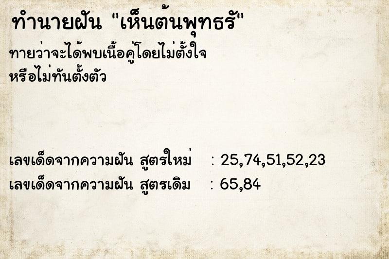 ทำนายฝันเห็นต้นพุทธรั ทำนายฝันทำนายฝันเห็นต้นพุทธรั
