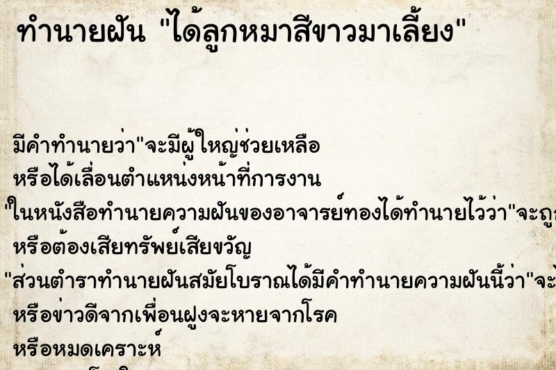 ทำนายฝันทำนายฝันได้ลูกหมาสีขาวมาเลี้ยง