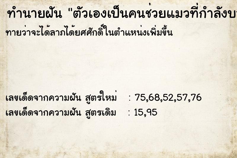 ทำนายฝันตัวเองเป็นคนช่วยแมวที่กำลังบาดเจ็บ ทำนายฝันทำนายฝันตัวเองเป็นคนช่วยแมวที่กำลังบาดเจ็บ