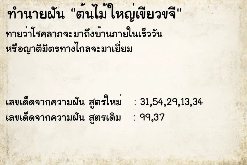 ทำนายฝัน ต้นไม้ใหญ่เขียวขจี ทำนายฝัน ต้นไม้ใหญ่เขียวขจี