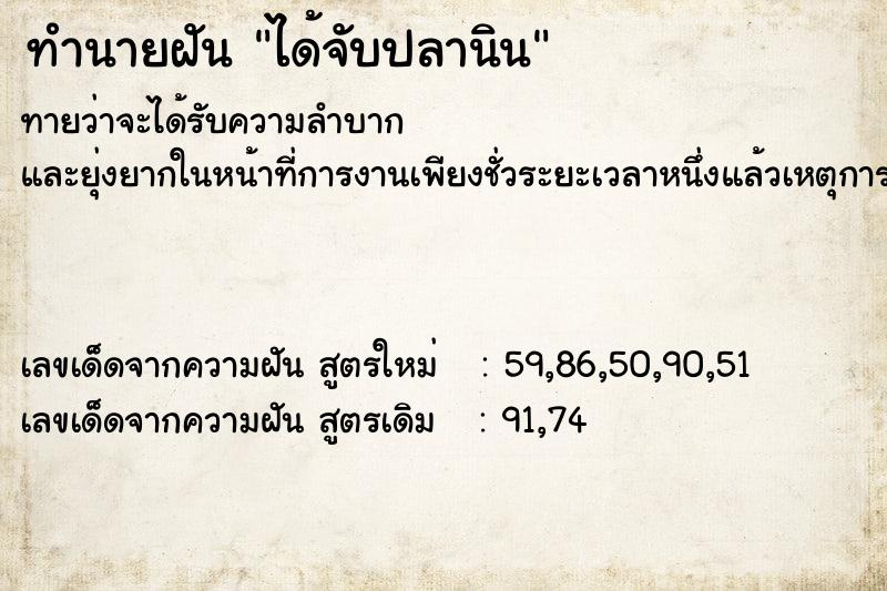 ทำนายฝันได้จับปลานิน ทำนายฝันทำนายฝันได้จับปลานิน