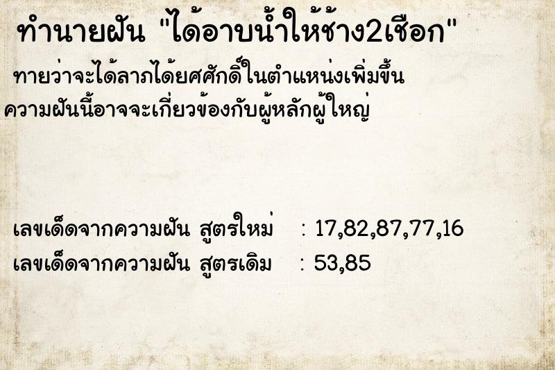 ทำนายฝัน ได้อาบน้ำให้ช้าง2เชือก ทำนายฝัน ได้อาบน้ำให้ช้าง2เชือก