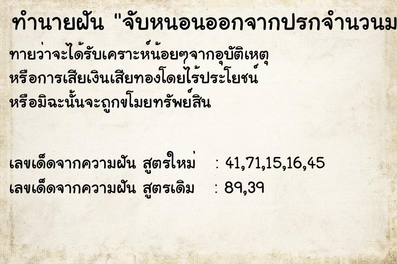 ทำนายฝันจับหนอนออกจากปรกจำนวนมาก ทำนายฝันทำนายฝันจับหนอนออกจากปรกจำนวนมาก